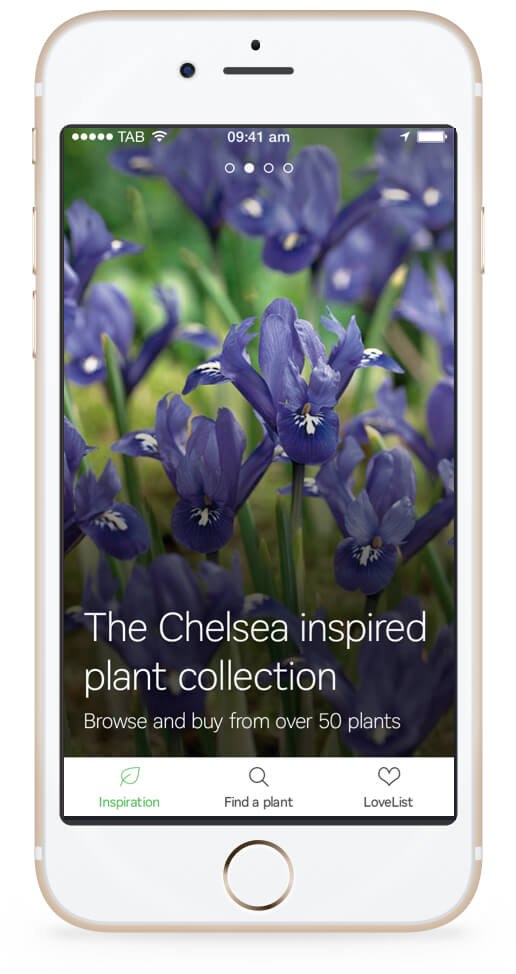 Homebase Plantmatch app inspiration screen