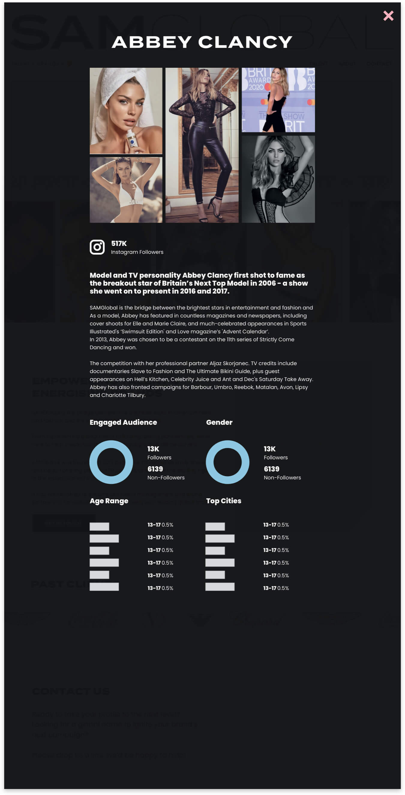 Interactive Artist Profile Page for Sam Global Website Design 