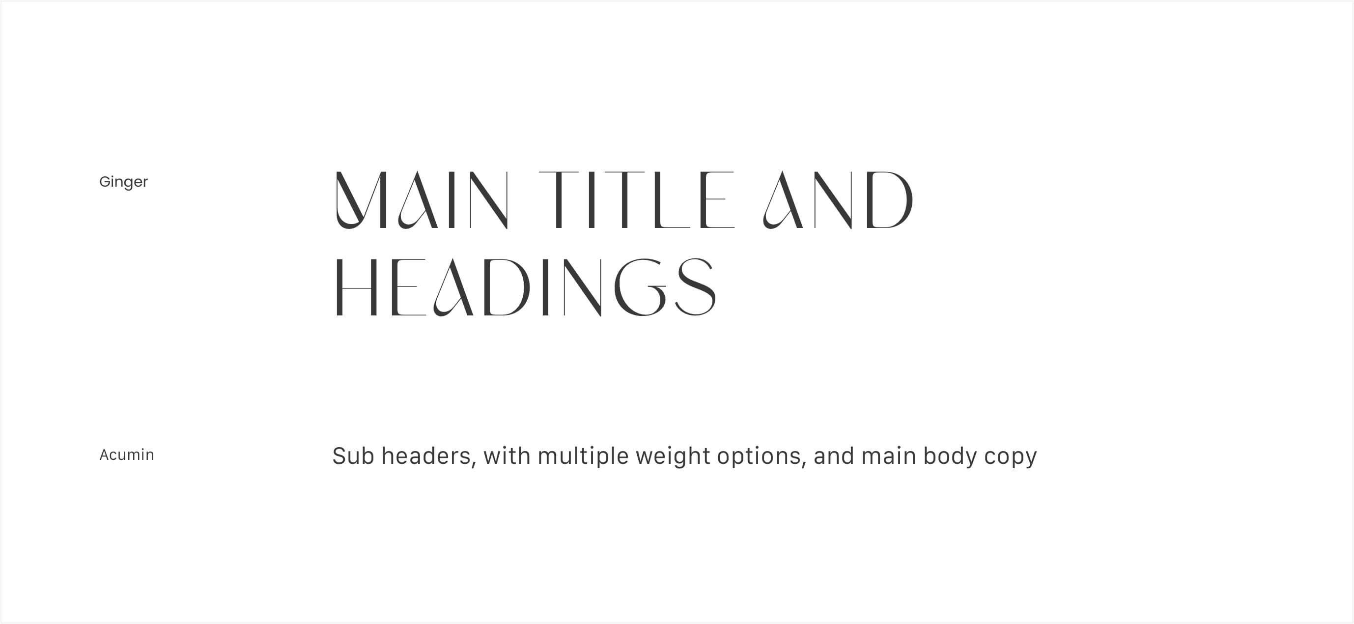 Font Application for Sculpt & Form